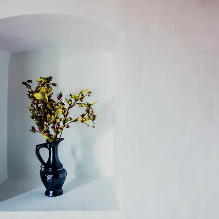 Hostel Uus 3 Parnawa