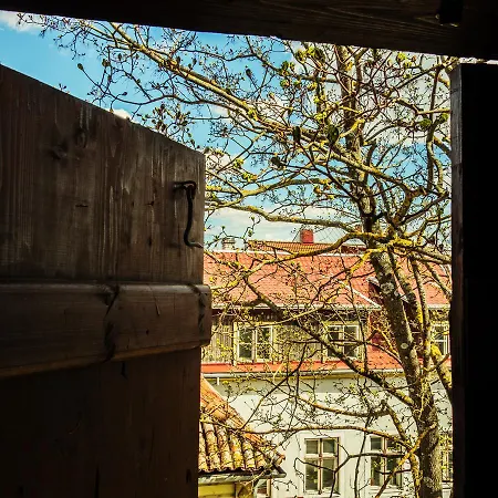 Hostel Uus 3 Parnawa